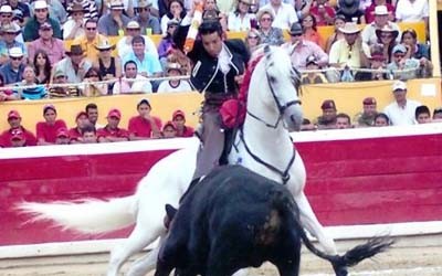 1065 e agencias