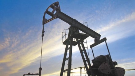 www.portaldesalta.gov.ar economia imagen petro3