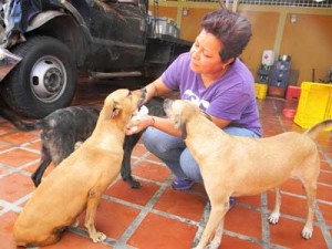 Hoy se realiza juicio condenatorio a hombre que mató a perro a palazos 4 1136 3