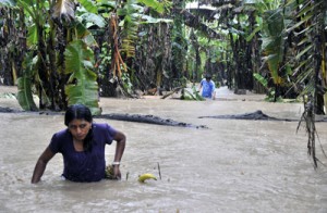 Van 48 muertos por lluvias en Bolivia 2 1170 54