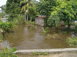 Lluvias en Sucre dejan 52 familias afectadas 2 1185 1