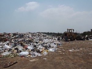 Al fin recogen la basura en Las Pulgas 1 1202 4C1