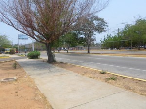 Violentos incendiaron el CNE-Zulia 8 1208 3B2