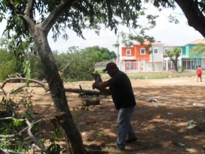 Denuncian más ecocidios en San Francisco 1 1211 ecocidio