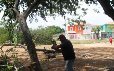 1211 ecocidio
