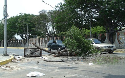 1215 ECOCIDIO