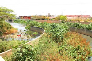 Cañada Morillo espera por saneamiento 2 1224 4C