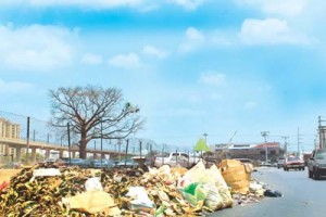 «Los Plataneros» hundido en la basura otra vez 1 1245 2C copy