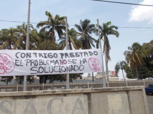 Primor recibió seis mil toneladas de trigo 2 1248 3