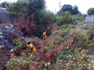 IMA realizó jornada de limpieza en Arismendi 1 1265 3NUEVA DDDD