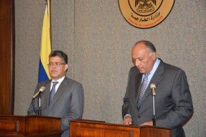 Venezuela enviará ayuda humanitaria a Gaza 2 1337 4