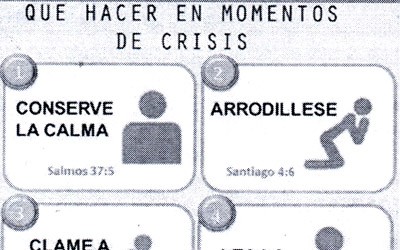 1339 21francis