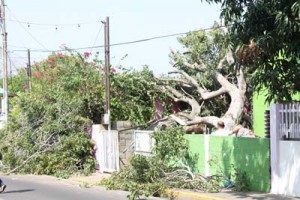 Gobierno regional atendió víctimas que dejó vientos huracanados y lluvia en Zulia 1 1342 3A