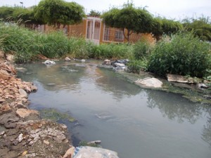 Aguas negras invaden la calle 37 de La Coromoto 1 1344 3B