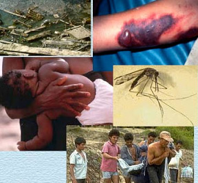 ¿Venezuela a las puertas de un ataque bacteriológico? 5 1386 foto abajo 04