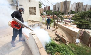 Alcaldía de Maracaibo previene el dengue y «chik 1 1401 2A ckip