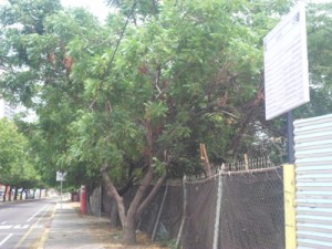 Otra edificación será levantada en la costa HL 1 1401 2C