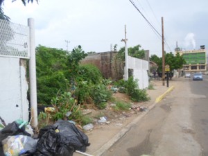 Terreno de un grupo familiar está abandonado 1 1401 3C