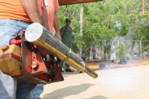 Escuelas mirandinas están paralizadas por plaga de zancudos 1 1401 4B