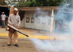 Activan cronograma de fumigación 1 3 b.JPG - 143.78 Kb
