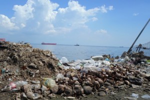 Realizan limpieza en la ribera del Lago 1 1435 2B
