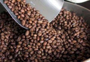 Bajos rendimientos en cosecha de café 1 1435 8B