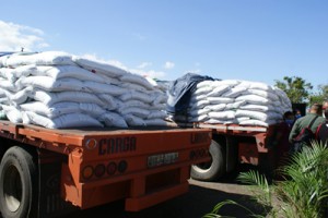 A la cárcel tres hombres por tráfico de fertilizantes 1 1448 21C