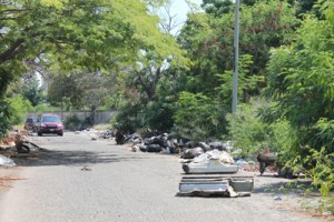 La basura casi se come a los carros en la calle 69 del sector Paraíso 1 1451 3D