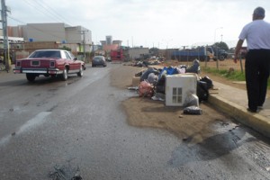La basura inunda a «Los Plataneros» 1 1467 3D