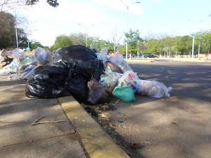 Basurero ambulante frente a la maternidad Castillo Plaza 1 1488 3D