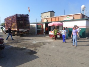 Denuncian mafias en venta de pollos 1 1490 3D pollos
