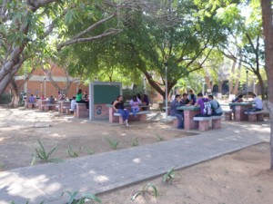 LUZ recibió ayer asistencia masiva de estudiantes 1 1493 2C