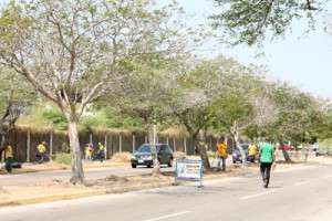 Obras de la Alcaldía de Maracaibo avanzan en las 18 parroquias 1 1514 4A