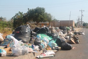 Tardía la recolección de basura en El Vivero 1 1537 2C