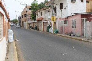 La basura vive en Los Claveles 1 1584 4B