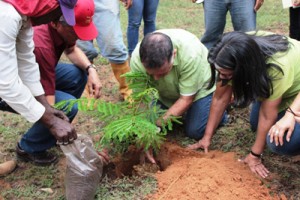 Arias celebró a la Tierra sembrando árboles 3 1585 3AAAA