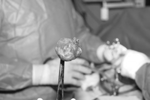 Fotógrafa zuliana gana premio por su labor en ciencias quirúrgicas 1 1585 Espacio cultural a