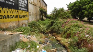 Basura «para regalar» en Cañada Honda 3 1589 2C1