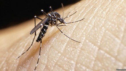 1803 150611122654 zika 624x351 thinkstock