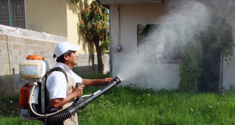 Realizan jornada de fumigación y abatización en San Isidro 1 1817 3DD