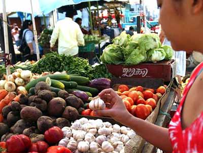 Precios de verduras y hortalizas se van por las nubes 2 1825 9A