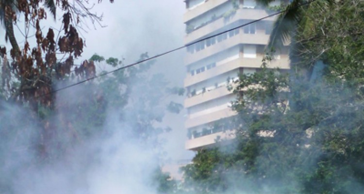 Secretaría de Salud culminó el año con logros positivos en Salud Ambiental 1 1832 4CCCCC