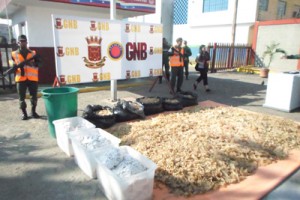 GNB incautó 489,49 kilogramos de buche de pescado en La Pastora 2 1840 22b