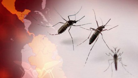 1864 Zika