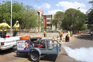 Continúan fumigaciones en distintos sectores 2 1865 4B