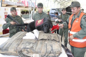 Detuvieron a un teniente de la GNB con droga 2 1873 13c