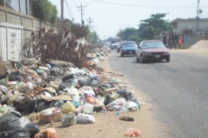 El Despertar arropado por la basura 2 1873 3DDDDD