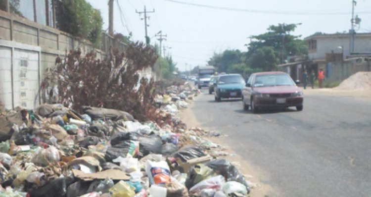 El Despertar arropado por la basura 1 1873 3DDDDD