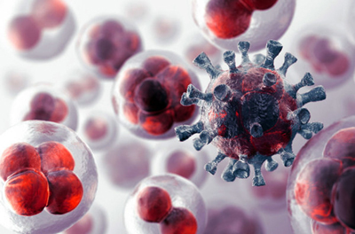 Terapia contra el cáncer en sangre logró que desaparecieran síntomas 2 1876 12c