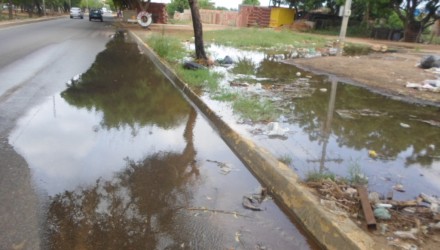 2B aguas blancas